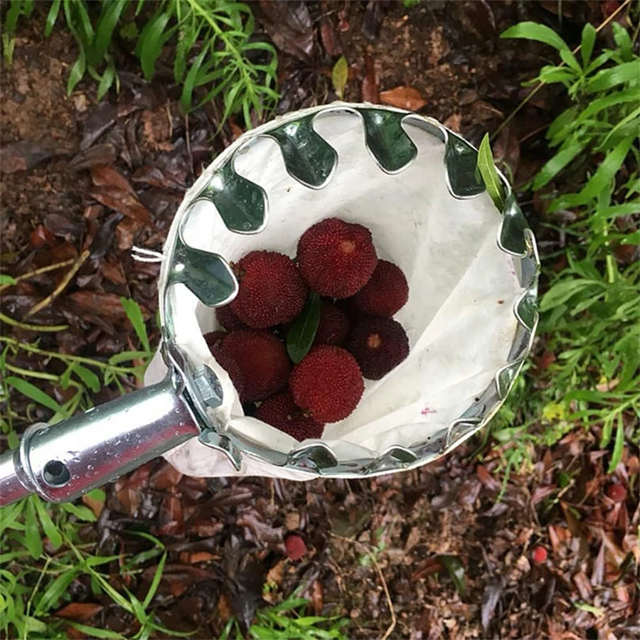 Tree Fruit Picker Practical Ga - Agriculture Farming Practices のレビューと価格