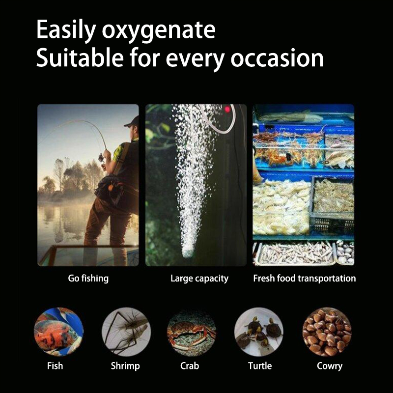 Mini Aquarium Air Pump Kit Oxy - Aquaculture Aerator Pump のレビューと価格