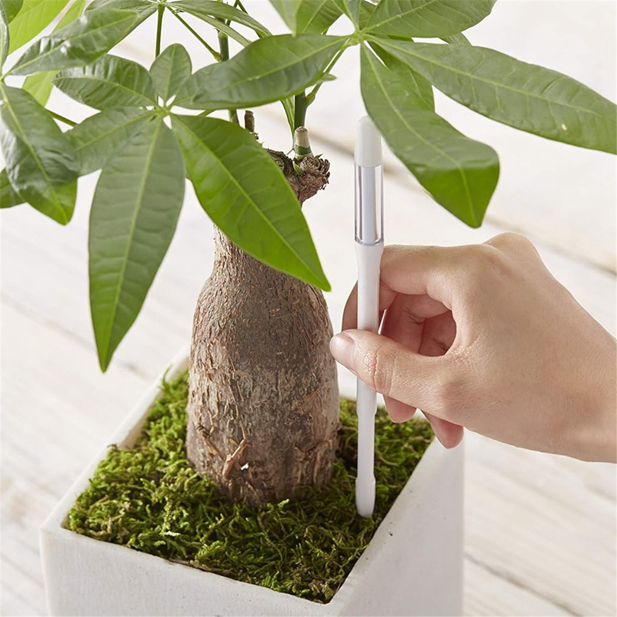 ABNJ Aquameter, 5pcs, Plant So - Soil Moisture Sensor のレビューと価格