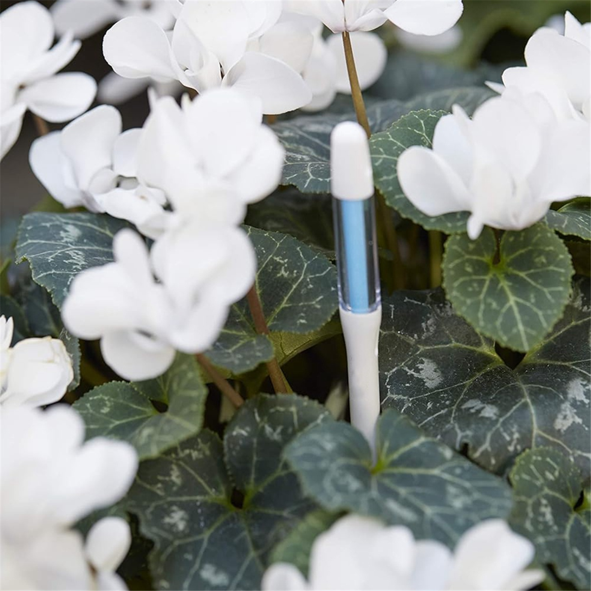 ABNJ Aquameter, 5pcs, Plant So - Soil Moisture Sensor のレビューと価格