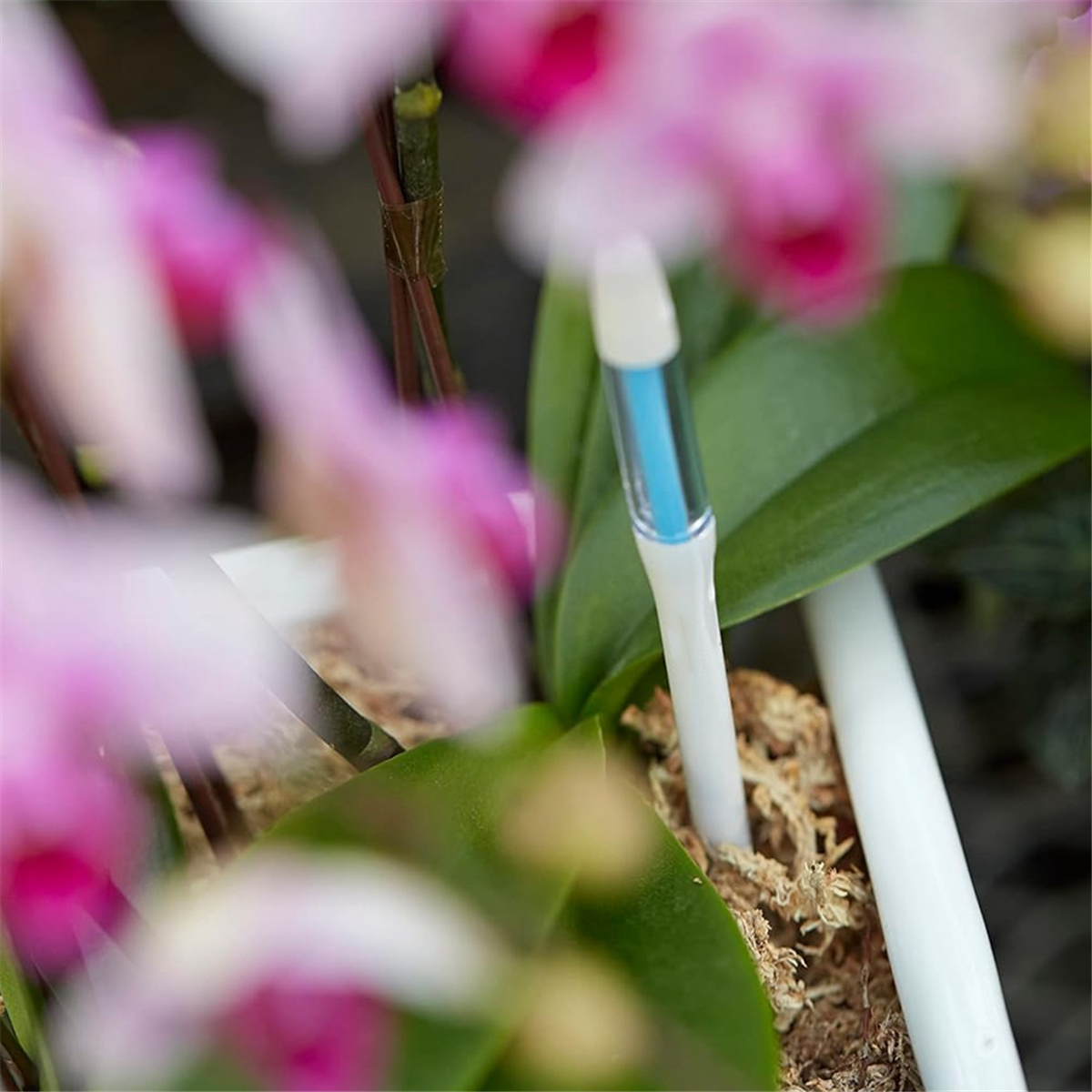 ABNJ Aquameter, 5pcs, Plant So - Soil Moisture Sensor のレビューと価格