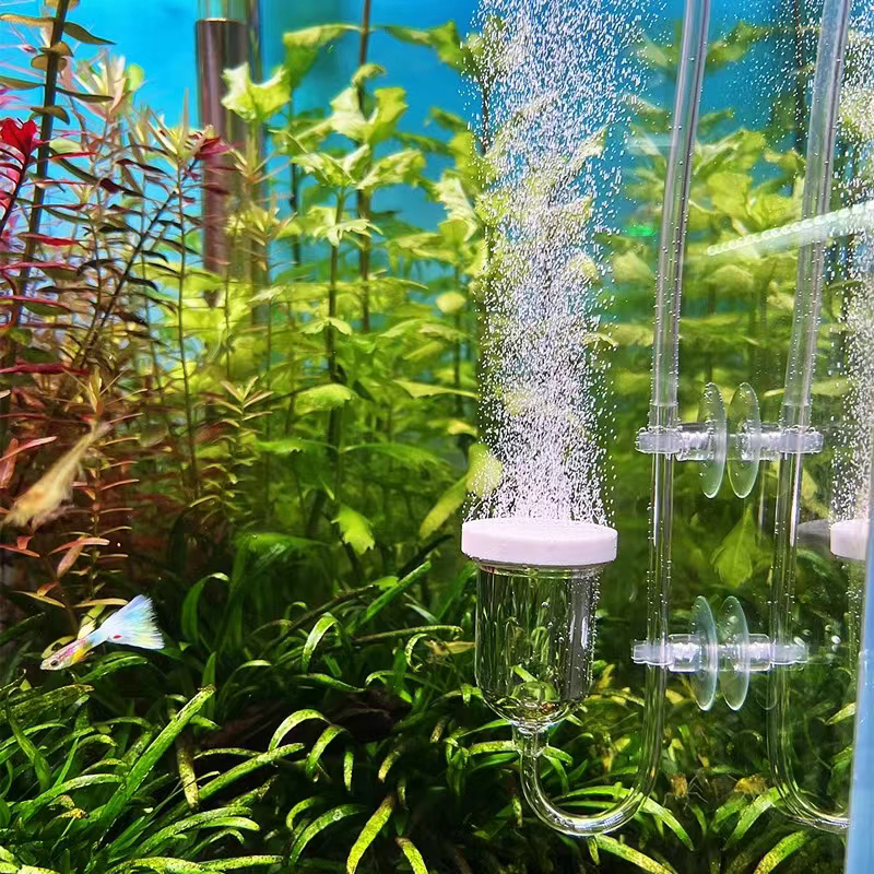1Set Glass Air Pump Sand Stone - Aquaculture Aerator Pump のレビューと価格