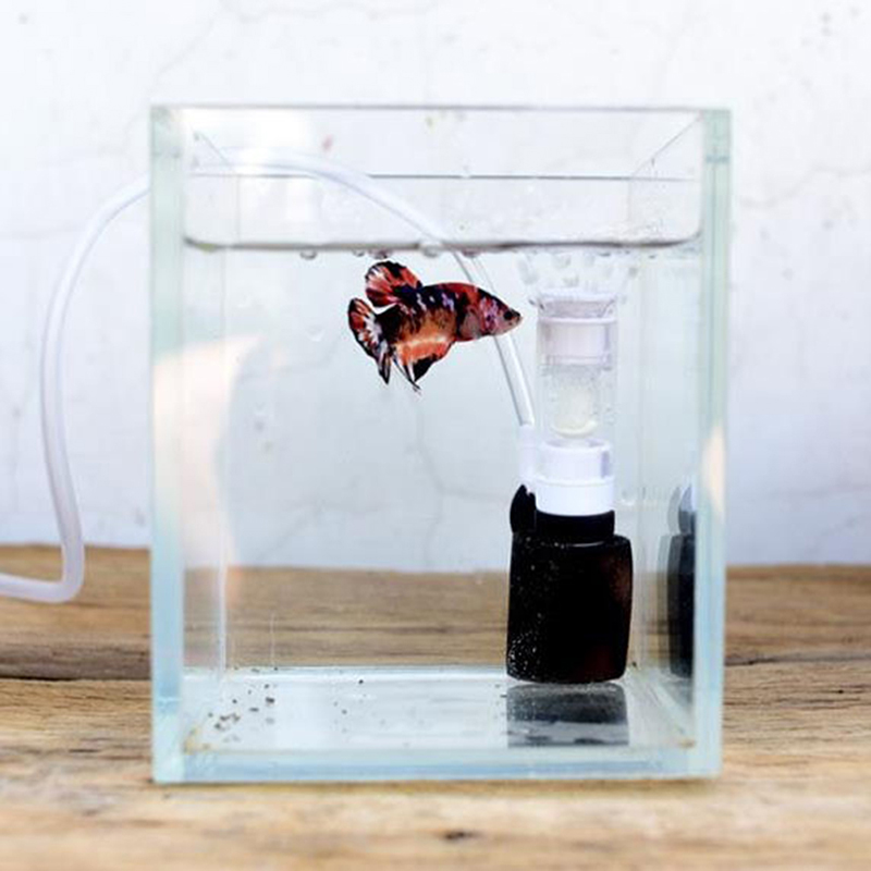 1PC Aquarium Air Pump Filter F - Aquaculture Aerator Pump のレビューと価格