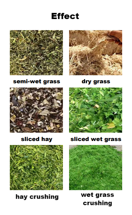 Multifunctional Agriculture Gr - Grain Farming Agriculture のレビューと価格