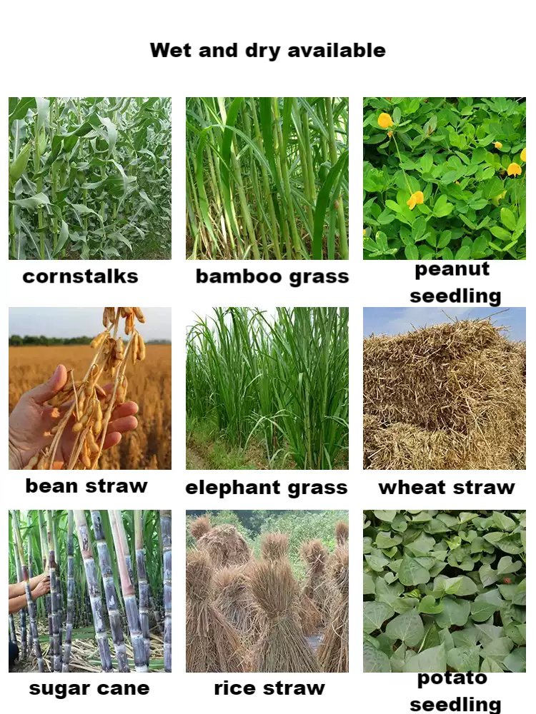 Multifunctional Agriculture Gr - Grain Farming Agriculture のレビューと価格