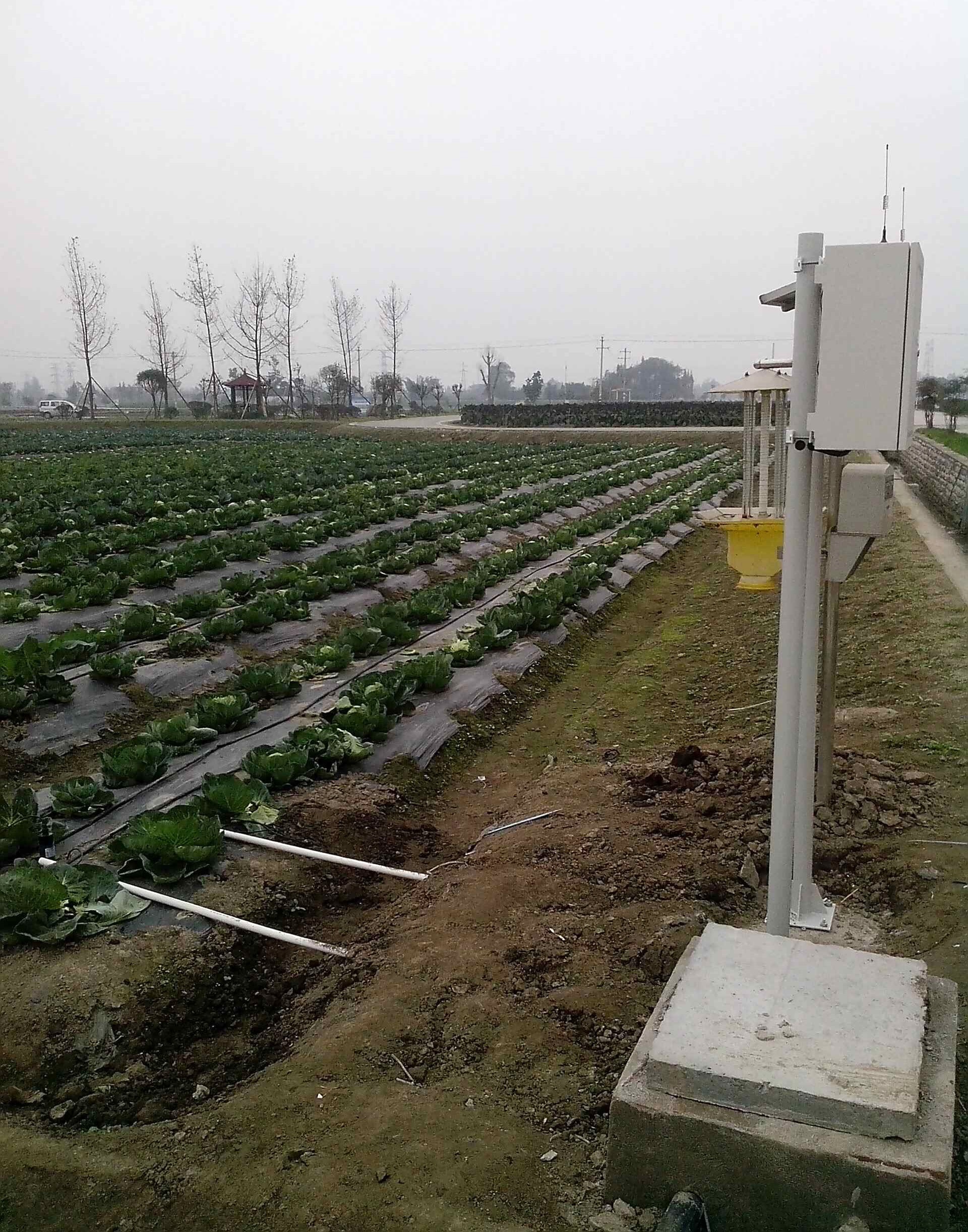 In stock 2026 Smart Crops Farm - Farming Agriculture Stocks のレビューと価格
