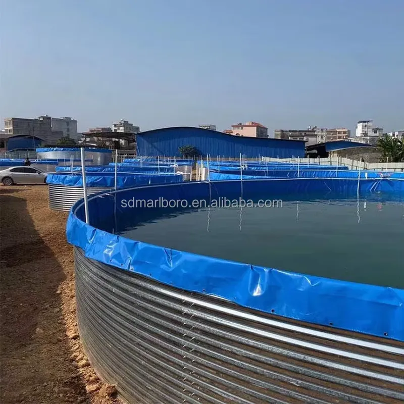 SDM Tarpaulin Farm Pool for Ga - Farming Agriculture Stocks のレビューと価格