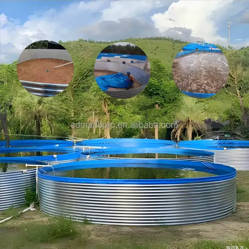 SDM Tarpaulin Farm Pool for Ga - Farming Agriculture Stocks のレビューと価格