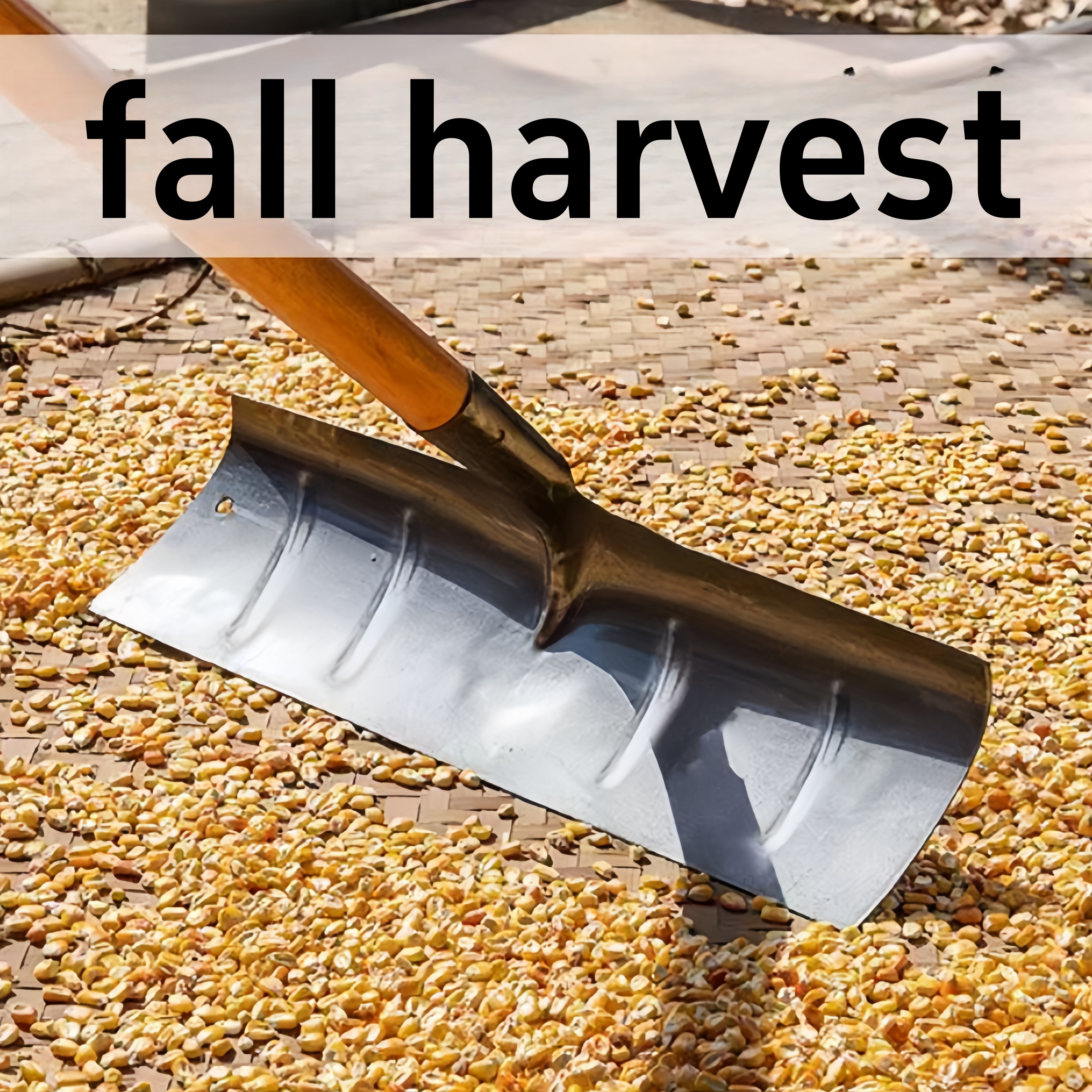 Agricultural Grain Shovel Larg - Grain Farming Agriculture のレビューと価格