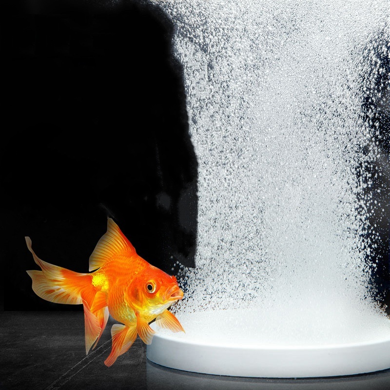 Air Stone Oxygen Fish Tank Aqu - Fish Pond Aerator のレビューと価格